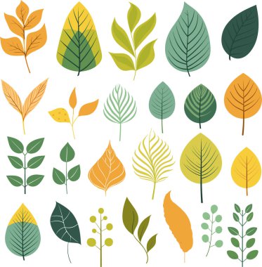 Beyaz arkaplanda yaprak tasarımı ögeleri