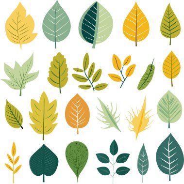 Beyaz arkaplanda yaprak tasarımı ögeleri