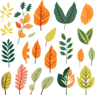 Beyaz arkaplanda yaprak tasarımı ögeleri