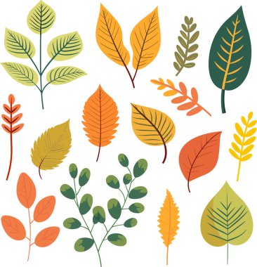 Beyaz arkaplanda yaprak tasarımı ögeleri