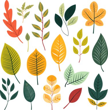 Beyaz arkaplanda yaprak tasarımı ögeleri