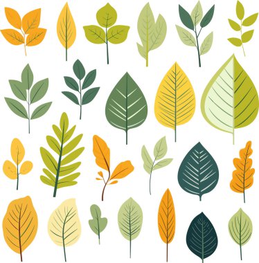 Beyaz arkaplanda yaprak tasarımı ögeleri