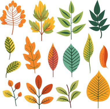 Beyaz arkaplanda yaprak tasarımı ögeleri