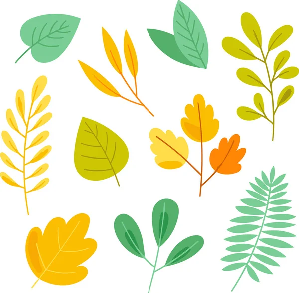 Beyaz arkaplanda yaprak tasarımı ögeleri