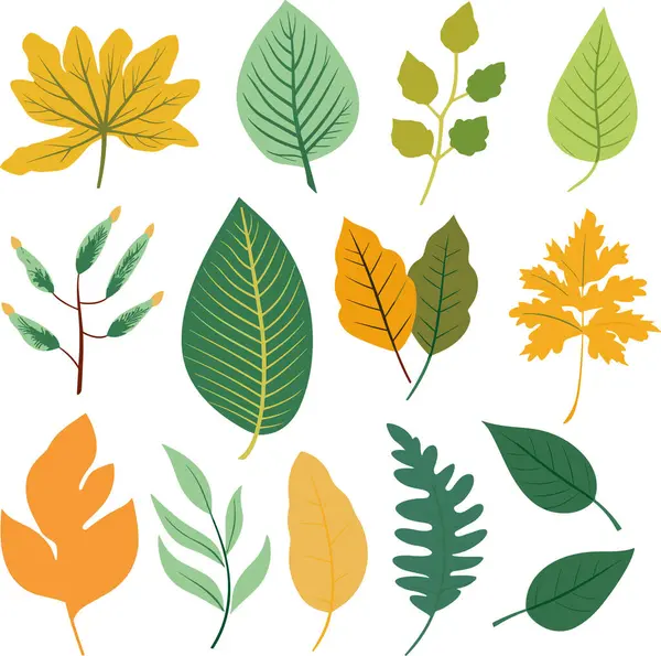 Beyaz arkaplanda yaprak tasarımı ögeleri