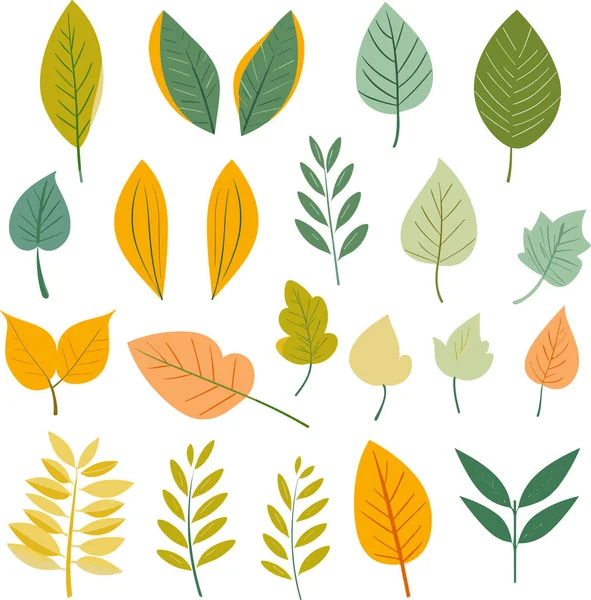 Beyaz arkaplanda yaprak tasarımı ögeleri