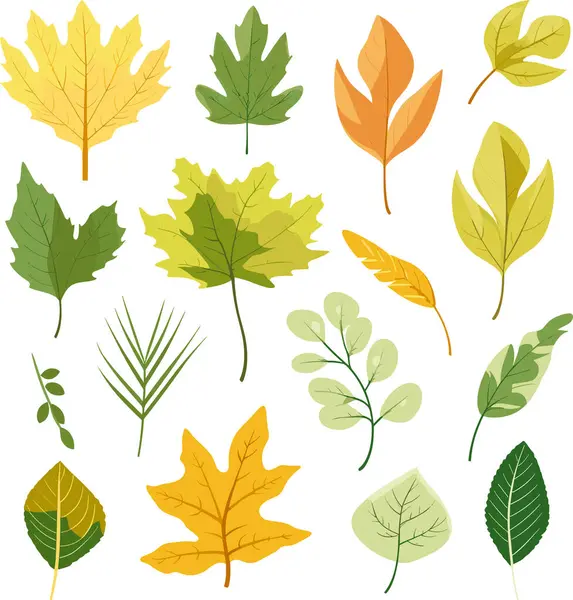 stock vector Leaf design elements on white background