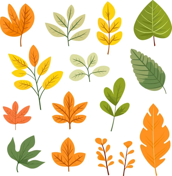 Beyaz arkaplanda yaprak tasarımı ögeleri