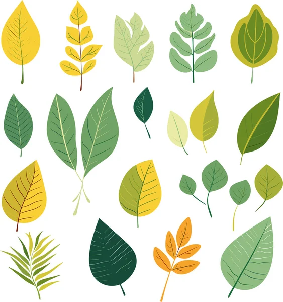 Beyaz arkaplanda yaprak tasarımı ögeleri