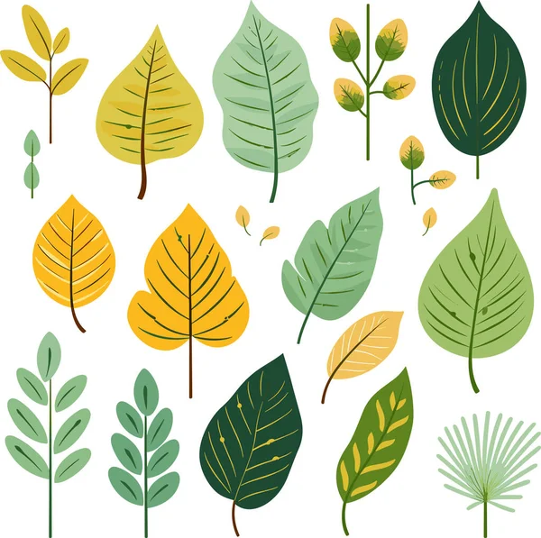 Beyaz arkaplanda yaprak tasarımı ögeleri