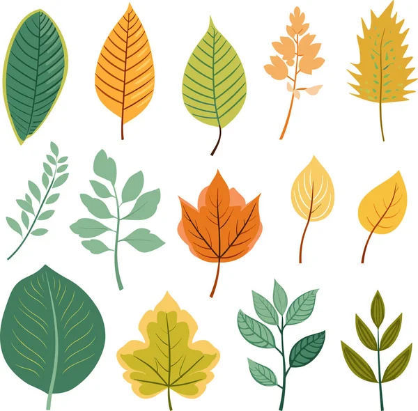 Beyaz arkaplanda yaprak tasarımı ögeleri