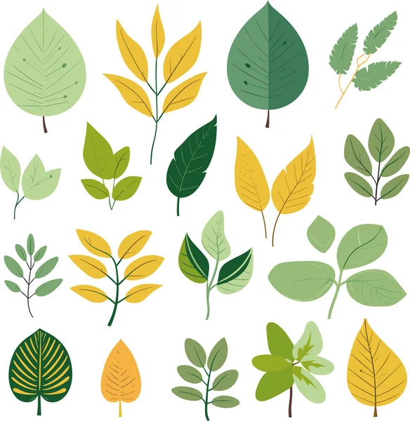 Beyaz arkaplanda yaprak tasarımı ögeleri