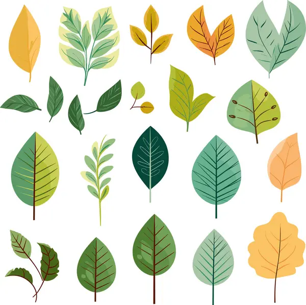 Beyaz arkaplanda yaprak tasarımı ögeleri