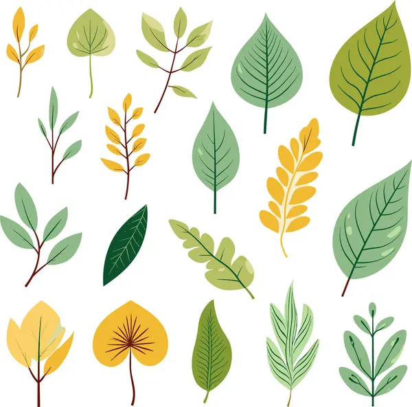 Beyaz arkaplanda yaprak tasarımı ögeleri