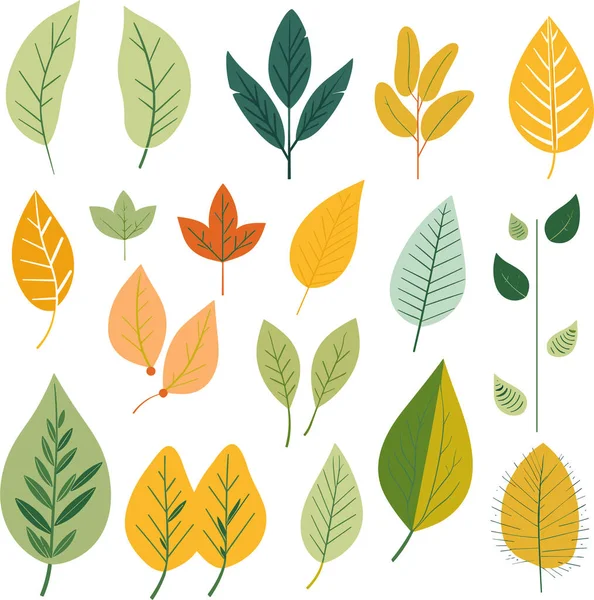 Beyaz arkaplanda yaprak tasarımı ögeleri