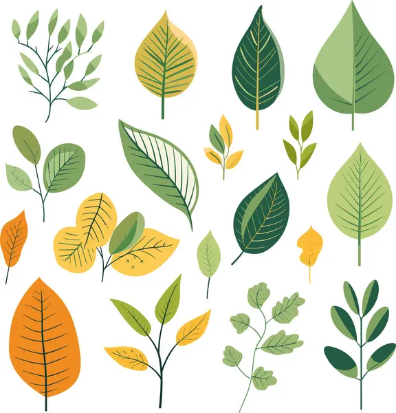 Beyaz arkaplanda yaprak tasarımı ögeleri