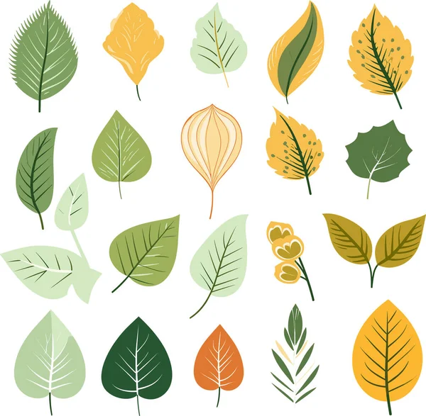 Beyaz arkaplanda yaprak tasarımı ögeleri