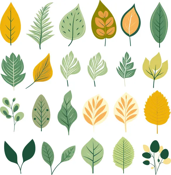 Beyaz arkaplanda yaprak tasarımı ögeleri