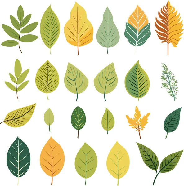 Beyaz arkaplanda yaprak tasarımı ögeleri