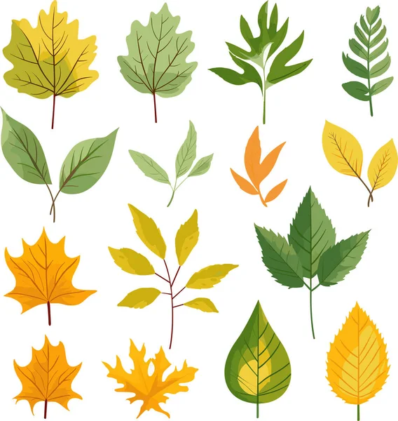 Beyaz arkaplanda yaprak tasarımı ögeleri