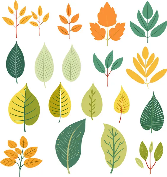 Beyaz arkaplanda yaprak tasarımı ögeleri