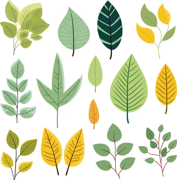 Beyaz arkaplanda yaprak tasarımı ögeleri