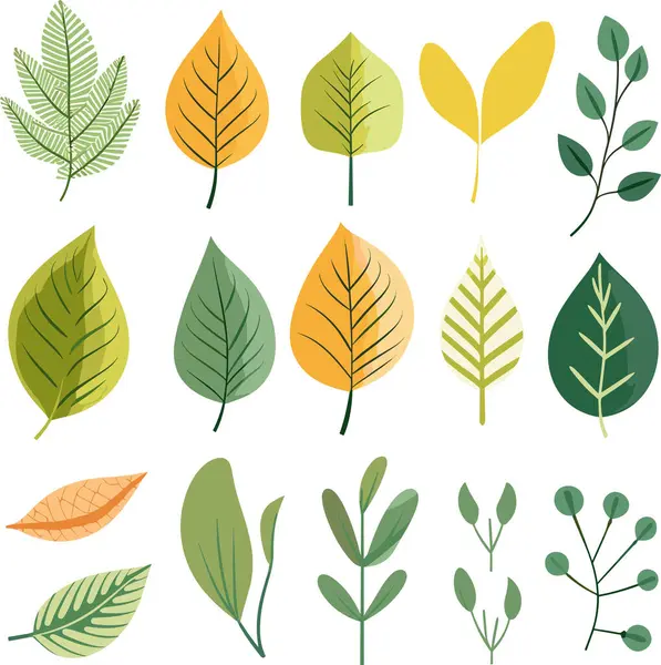 Beyaz arkaplanda yaprak tasarımı ögeleri