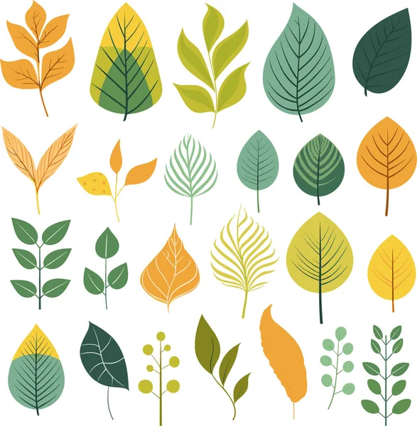 Beyaz arkaplanda yaprak tasarımı ögeleri