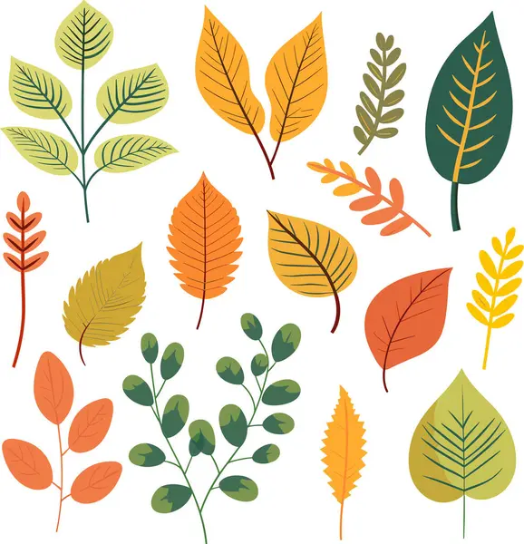 Beyaz arkaplanda yaprak tasarımı ögeleri