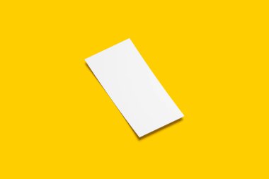 DL Flyer Model 3B Hazırlama