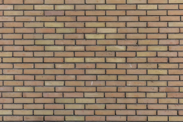 Ściana Piasku Cegły Dla Tekstury Mrówki Tła — Zdjęcie stockowe