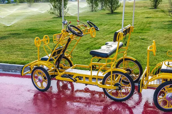 Park four-wheeled bicycle for transportation and fun