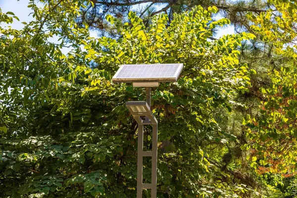 City lamp eco friendly with alternative solar power supply to protect the environment