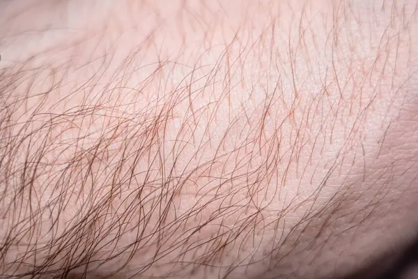 Texture of a human hand with skin and hair surface close up.