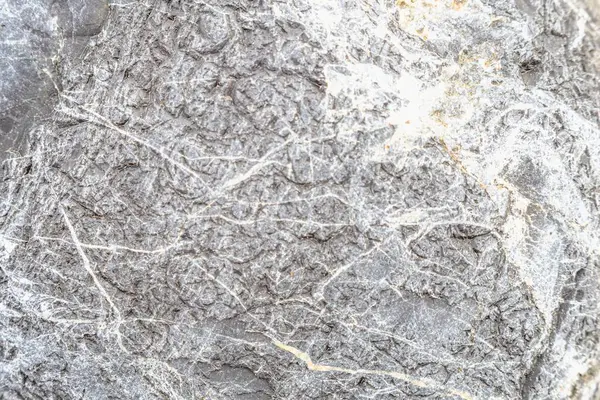 Natural texture in nature with organic stone surface and patterned texture