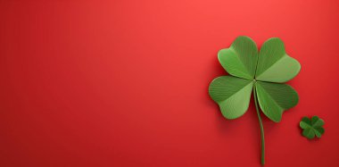 Yonca bitkisi, Aziz Patrick Günü için İrlanda 'nın iyi şans sembolüdür..