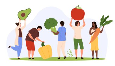 Pişirmek için sağlıklı vejetaryen yemek malzemeleri. Farklı taze organik sebzeler taşıyan küçük insanlar, avokado ve brokoli taşıyan karakterler, paprika ve domates, havuç vektör çizimi