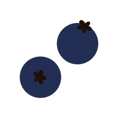 Yabanmersini, iki tam mavi olgun meyve vektör çizimi