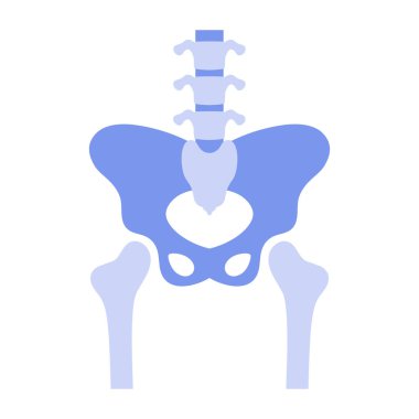 Kalça eklemi, pelvik kemik vektör illüstrasyonunun basit anatomik sunumu