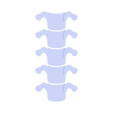İnsan omurgası, basit anatomik omurilik modeli ve tıbbi grafik çizelgesi çizimi.