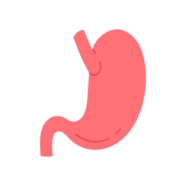 İnsan midesi, sindirim sisteminin iç organı, basit tıbbi grafik çizelgesi çizimi.