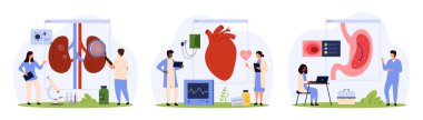 Hastanedeki iç organların tıbbi muayenesi. Küçük insanlar böbrek sağlığını endoskopla büyüteç ve mide ile kontrol eder, kalbi EKG makine karikatür çizimi illüstrasyonunda izlerler.