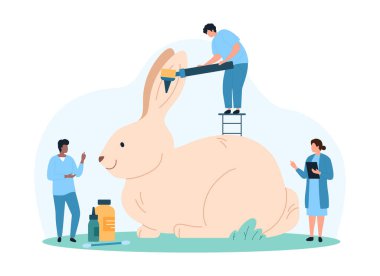 Veteriner tarafından veteriner hastanesinde tavşan kulağının tıbbi muayenesi. Minik insanlar tavşan kulaklarını otoskop, profesyonel muayene ve hayvan karikatür vektör ilülasyonunda tedavi ile kontrol ederler.