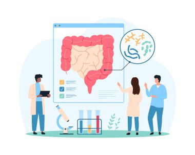Bağırsaklarda iyi bir bakteri, bağırsaklarda sağlıklı mikroflora ve bağışıklık sistemi. İnce insanlar, kalın bağırsak, prebiyotik ve probiyotik vektör ilüstrasyonunda laktobasil incelerler.