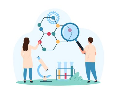 Kimyasal formül, molekül ve atomların yapısı, organik ve inorganik madde incelenmesi. Küçük insanlar büyüteç ve mikroskop vektör çizimi ile moleküler model üzerinde çalışıyorlar.