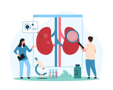 Böbreklerin ve idrar sisteminin enfeksiyon için incelenmesi, piyelonefrit ve sistit farkındalığı. Büyüteçle küçük insanlar insan böbreklerini karikatür çizimleri için inceliyor.