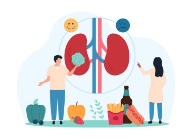 Diyet, böbrek sağlığı, böbrek taşı tehlikesi. Taşı tutan küçük insanlar, doktorlar ve sağlıksız fast food çizgi film çizimi çizimleri hakkında bilgi içeren tıbbi çizelgeler.