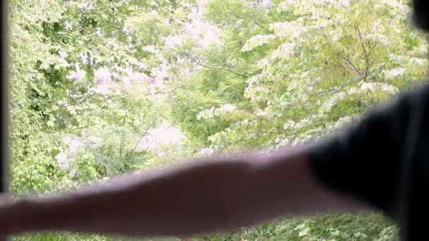 Wideo Człowieka Zamykającego Okno Przez Które Widzimy Drzewa Parku Aby — Wideo stockowe
