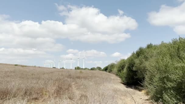 クリーンエネルギーを生成するために風と動くいくつかの風車を見ることができる持続可能な風力エネルギーについての4Kビデオ — ストック動画