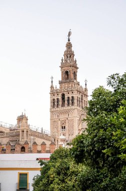 Giralda Kulesi 'nin büyüleyici yakın çekimi, Seville Katedrali' nin tarihi çan kulesi, açık mavi gökyüzü altında karmaşık mimari ve Endülüs cazibesini sergiliyor.